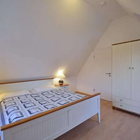 Kuestenschwalbe *