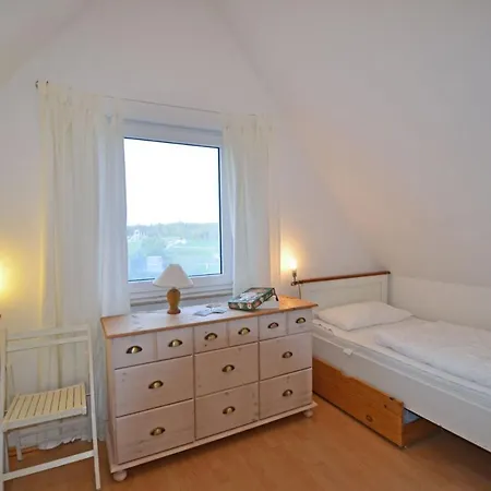 Kuestenschwalbe Glowe