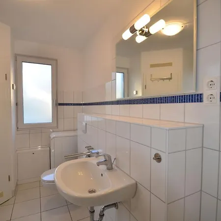 Kuestenschwalbe *